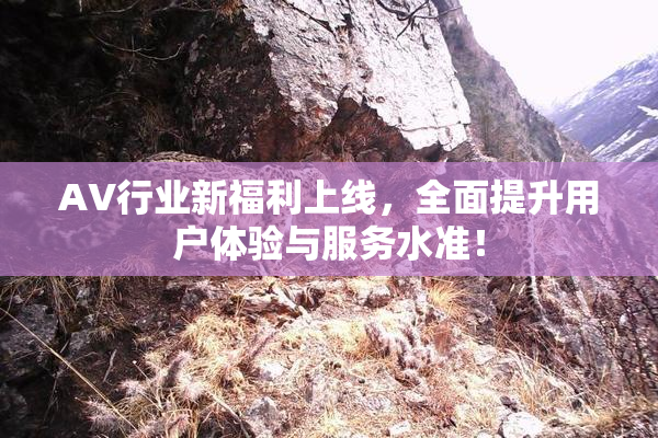 AV行业新福利上线，全面提升用户体验与服务水准！