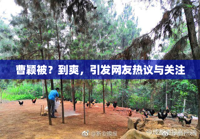 曹颖被？到爽，引发网友热议与关注