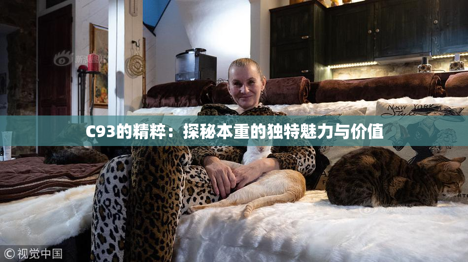 C93的精粹：探秘本重的独特魅力与价值