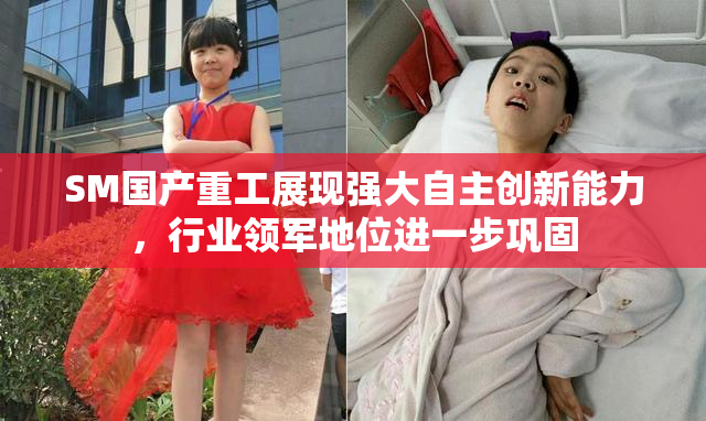 SM国产重工展现强大自主创新能力，行业领军地位进一步巩固
