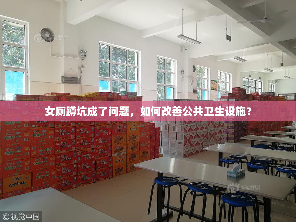女厕蹲坑成了问题，如何改善公共卫生设施？