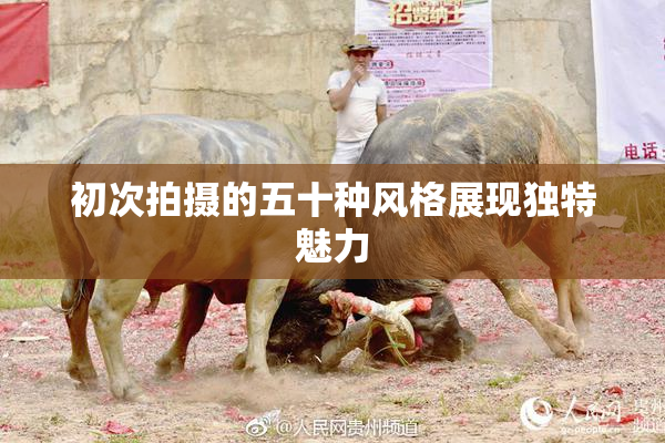 初次拍摄的五十种风格展现独特魅力