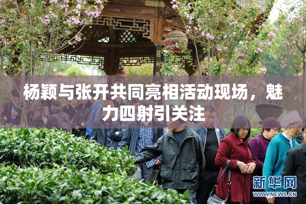 杨颖与张开共同亮相活动现场，魅力四射引关注
