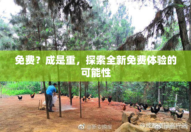 免费？成是重，探索全新免费体验的可能性