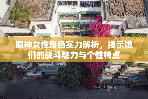 原神女性角色实力解析，揭示她们的战斗魅力与个性特点