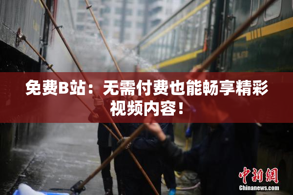 免费B站：无需付费也能畅享精彩视频内容！