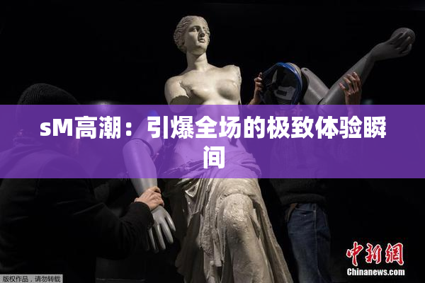 sM高潮：引爆全场的极致体验瞬间