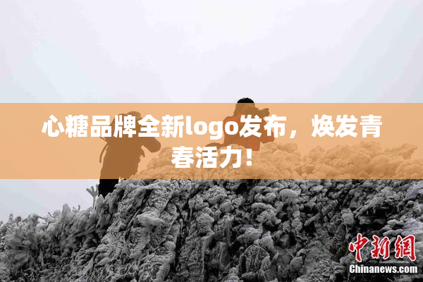 心糖品牌全新logo发布，焕发青春活力！