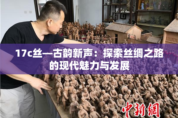 17c丝—古韵新声：探索丝绸之路的现代魅力与发展