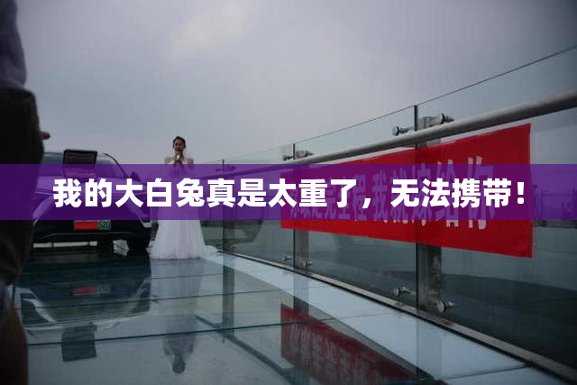 我的大白兔真是太重了，无法携带！