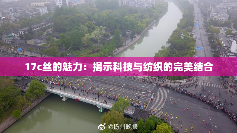 17c丝的魅力：揭示科技与纺织的完美结合