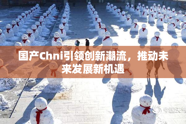 国产Chni引领创新潮流，推动未来发展新机遇