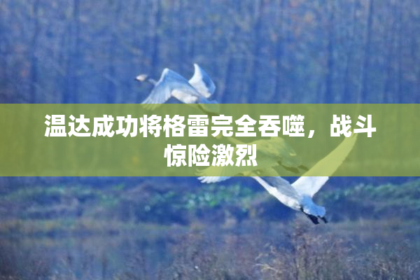 温达成功将格雷完全吞噬，战斗惊险激烈