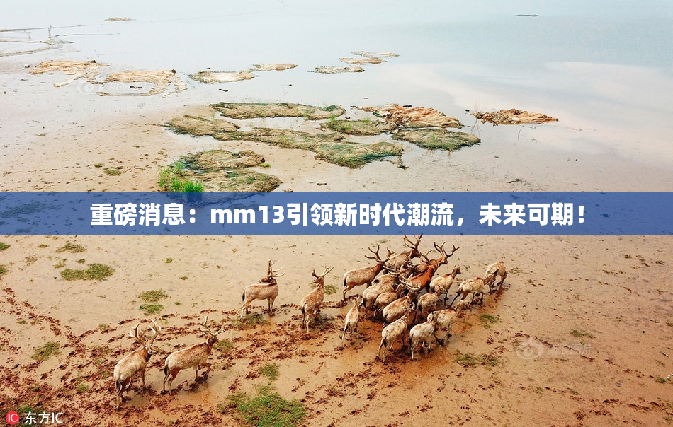 重磅消息：mm13引领新时代潮流，未来可期！