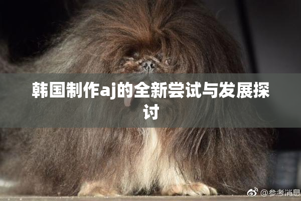 韩国制作aj的全新尝试与发展探讨