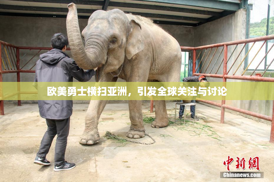 欧美勇士横扫亚洲，引发全球关注与讨论