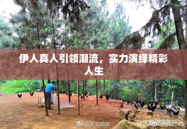伊人真人引领潮流，实力演绎精彩人生
