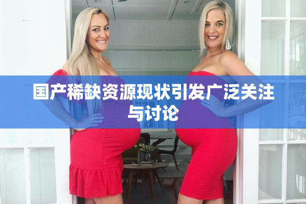 国产稀缺资源现状引发广泛关注与讨论