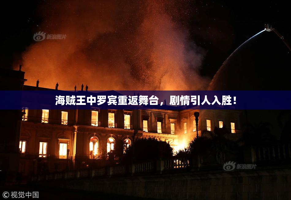海贼王中罗宾重返舞台，剧情引人入胜！