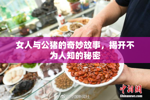 女人与公猪的奇妙故事，揭开不为人知的秘密