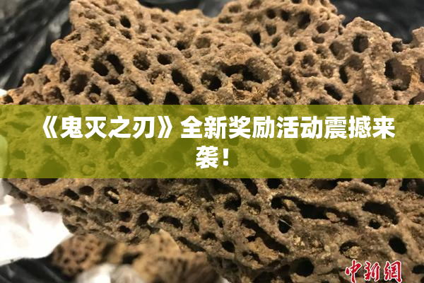 《鬼灭之刃》全新奖励活动震撼来袭！