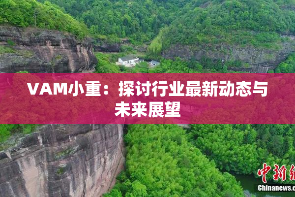 VAM小重：探讨行业最新动态与未来展望