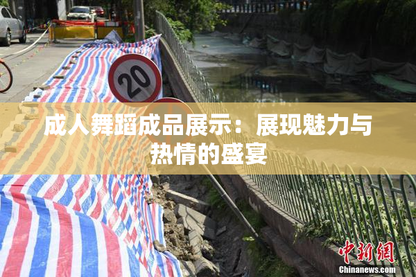 成人舞蹈成品展示：展现魅力与热情的盛宴