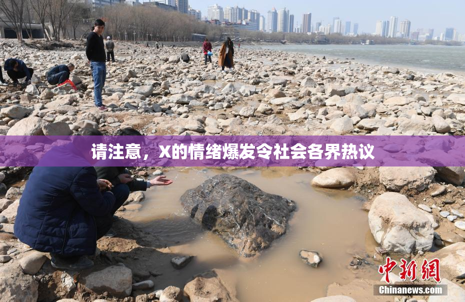 请注意，X的情绪爆发令社会各界热议