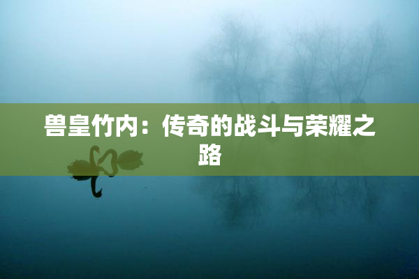 兽皇竹内：传奇的战斗与荣耀之路