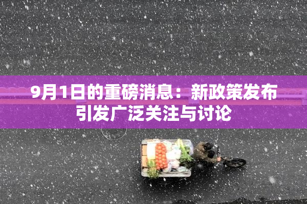9月1日的重磅消息：新政策发布引发广泛关注与讨论