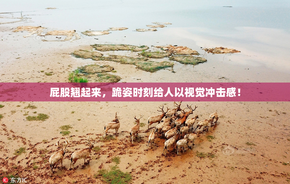 屁股翘起来，跪姿时刻给人以视觉冲击感！