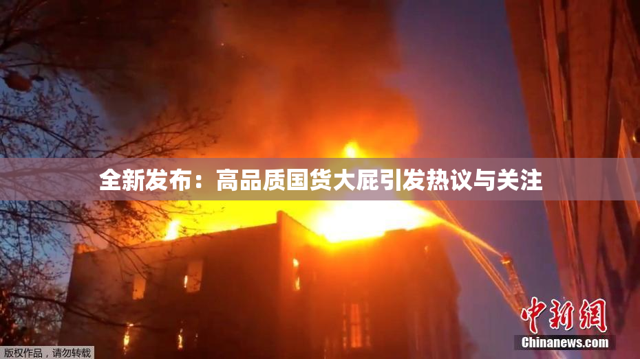 全新发布：高品质国货大屁引发热议与关注