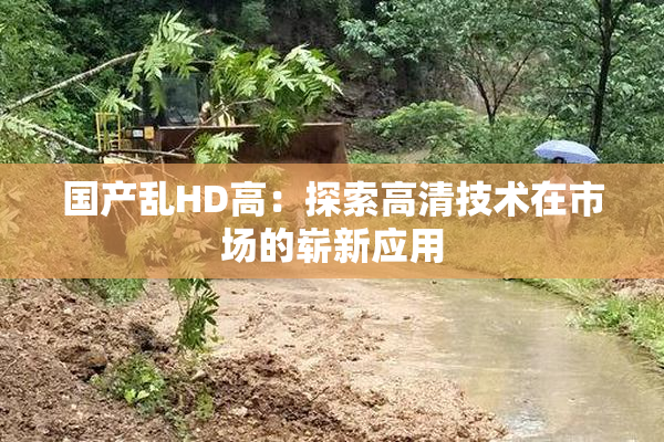 国产乱HD高：探索高清技术在市场的崭新应用