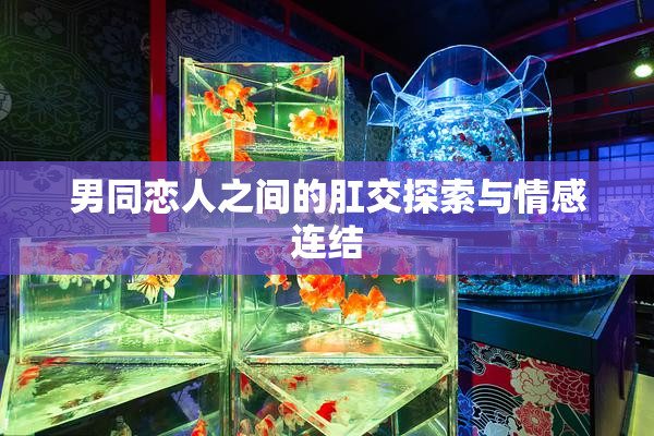 男同恋人之间的肛交探索与情感连结