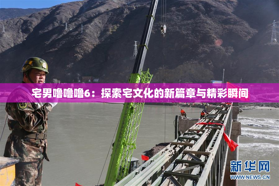 宅男噜噜噜6：探索宅文化的新篇章与精彩瞬间