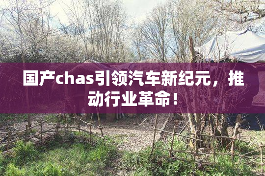 国产chas引领汽车新纪元，推动行业革命！