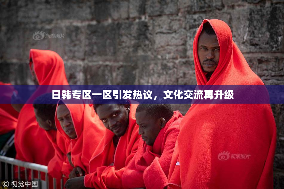 日韩专区一区引发热议，文化交流再升级