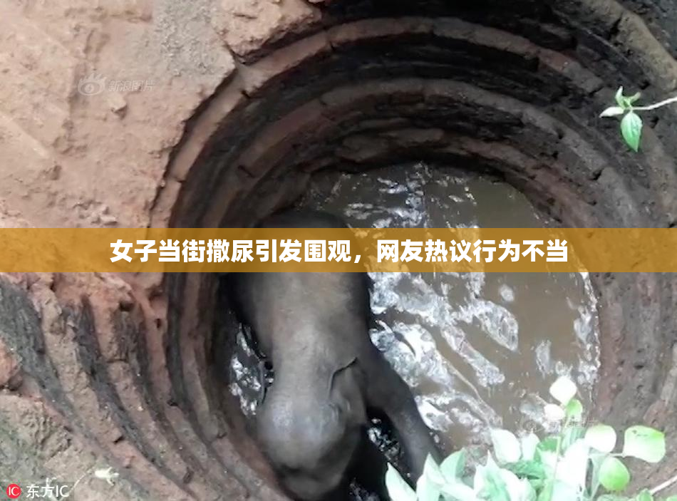 女子当街撒尿引发围观，网友热议行为不当