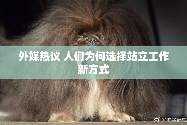 外媒热议 人们为何选择站立工作新方式