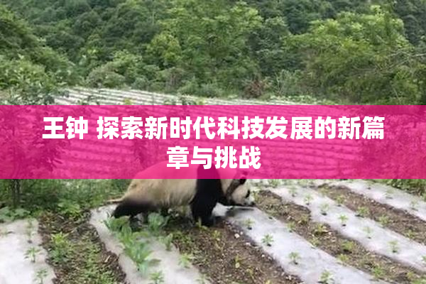 王钟 探索新时代科技发展的新篇章与挑战