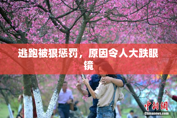 逃跑被狠惩罚，原因令人大跌眼镜