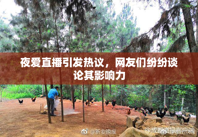 夜爱直播引发热议，网友们纷纷谈论其影响力