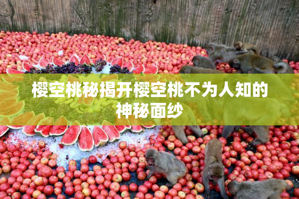樱空桃秘揭开樱空桃不为人知的神秘面纱