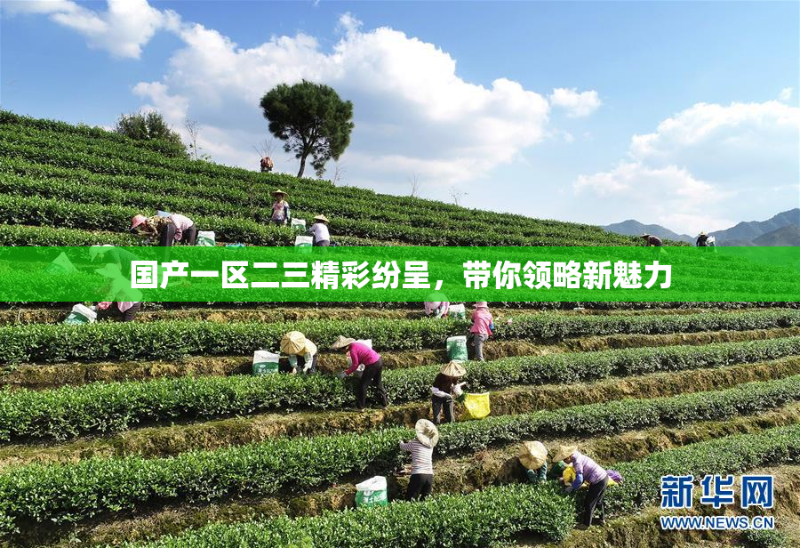 国产一区二三精彩纷呈，带你领略新魅力