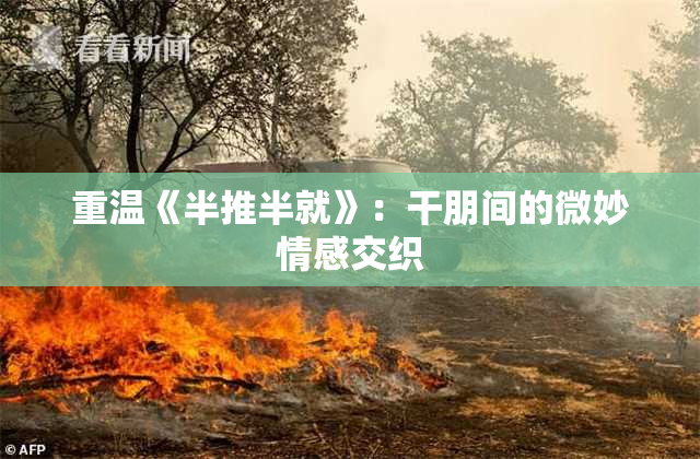 重温《半推半就》：干朋间的微妙情感交织