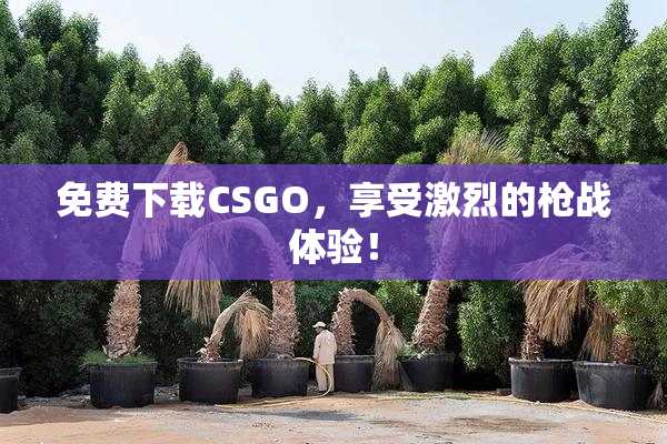 免费下载CSGO，享受激烈的枪战体验！