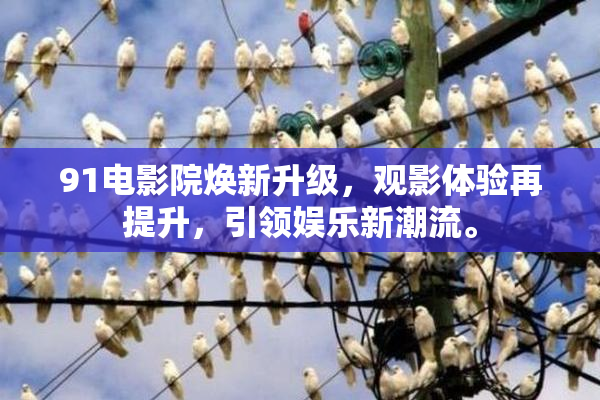 91电影院焕新升级，观影体验再提升，引领娱乐新潮流。