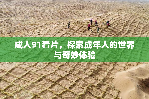 成人91看片，探索成年人的世界与奇妙体验