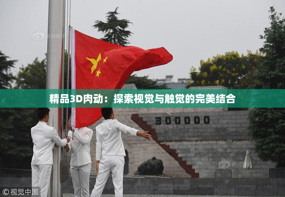精品3D肉动：探索视觉与触觉的完美结合