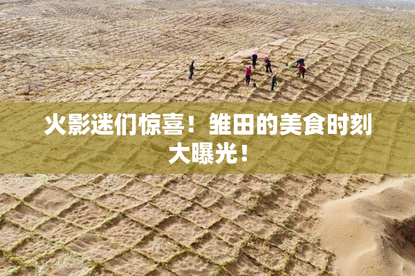 火影迷们惊喜！雏田的美食时刻大曝光！